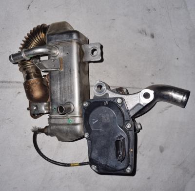 EGR-koeler Mercedes-Benz C-200 d BlueTEC 1.6 16V 2016