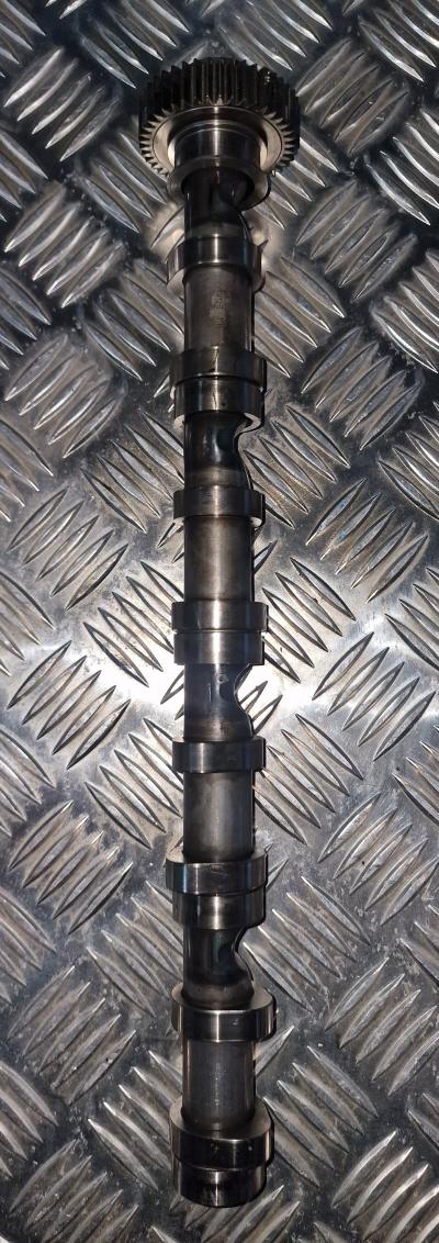 Nokkenas Volkswagen Golf VI 1.6 TDI 16V 2009