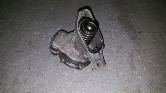 Vacuumpomp Volkswagen Crafter 2.5 TDI 2009